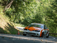 SCHWAN Roman, (#81, Roman Schwan, E2-SH-2000, Renault Megane Coupe)