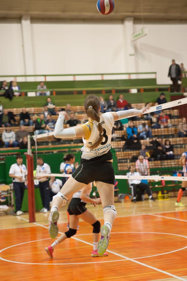Volejbalová extraliga žen
