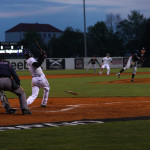 ELB - Euro League Baseball