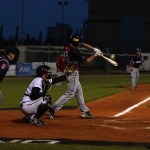 ELB - Euro League Baseball