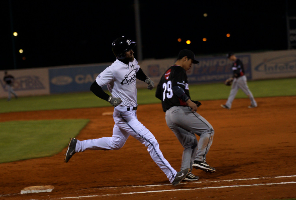 ELB - Euro League Baseball